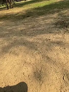 Snapshot of Cum_on_your_tityyy chatting on 13, 1, 2026 Cum on your tityyy online show from 13, 1, 2026