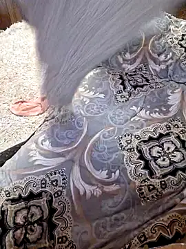 Snapshot of _Kitti_ chatting on 22, 1, 2025 Kitti online show from 22, 1, 2025