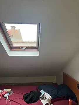 rafamarianoofc online show from 20, 3, 2026