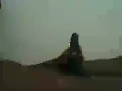 toysuga online show from 30, 3, 2026