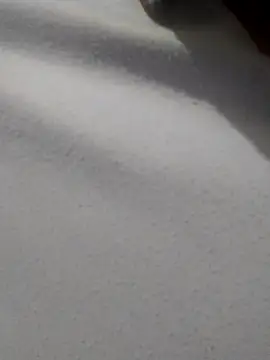  Miaaleon online show from 16, 11, 2025