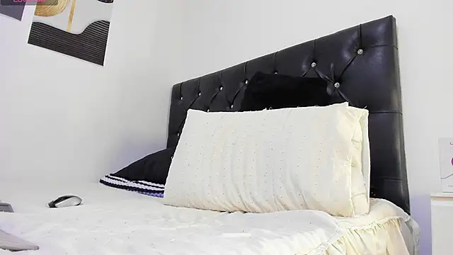 Snapshot of Sebastian-Dash chatting on 8, 11, 2025 Sebastian-Dash online show from 8, 11, 2025