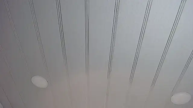 candy lux  online show from 24, 2, 2025