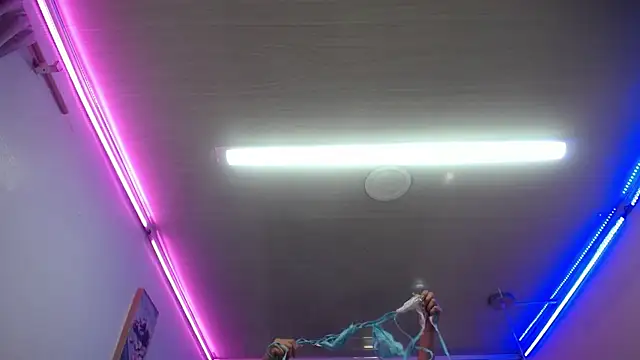 candy lux  online show from 19, 2, 2026