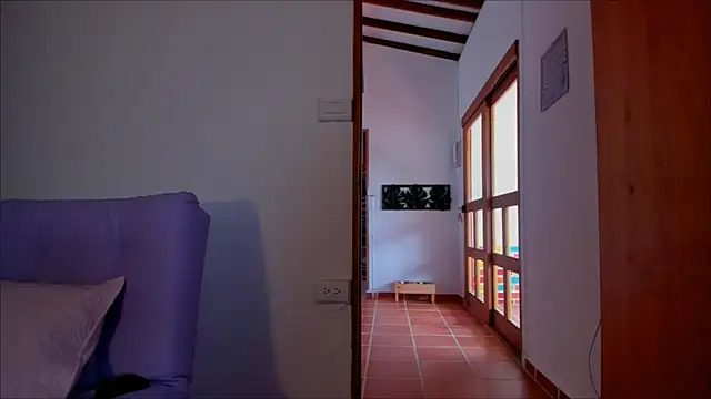 Lauren A online show from 17, 1, 2025