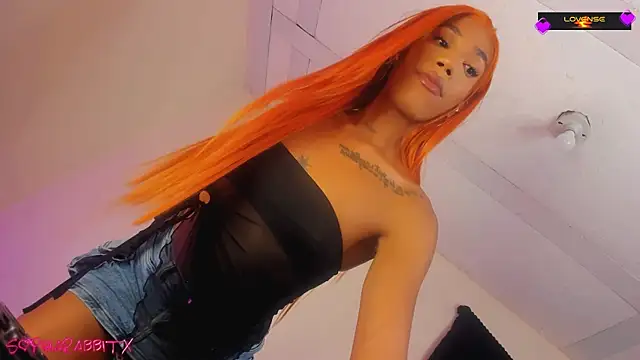 turabbitxx online show from 7, 11, 2025