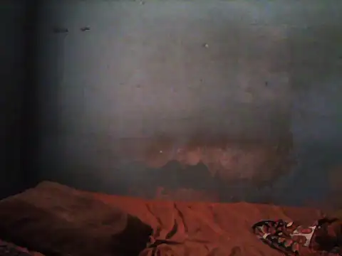 little  joy online show from 5, 11, 2025