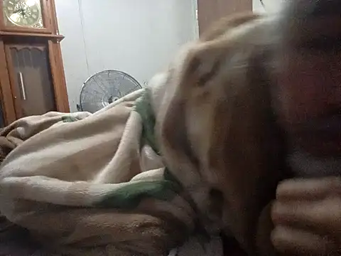 Xoc8  online show from 14, 2, 2026