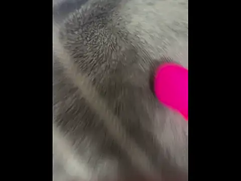 boypussyfist online show from 13, 2, 2026