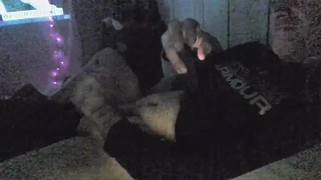 Snapshot of jaxx12369 chatting on 5, 12, 2025 jaxx12369 online show from 5, 12, 2025