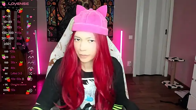 Snapshot of Project_hisoka chatting on 12, 1, 2025 Project hisoka online show from 12, 1, 2025