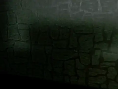 Snapshot of Lilyevansx chatting on 12, 10, 2025 Lilyevansx online show from 12, 10, 2025