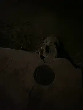 Snapshot of nowex18 chatting on 6, 3, 2025 nowex18 online show from 6, 3, 2025