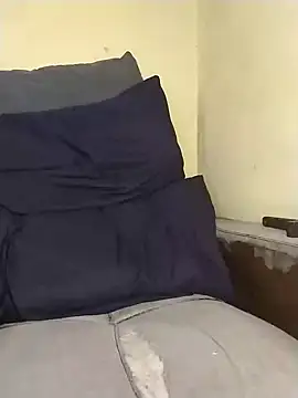 Stallion100 online show from 29, 1, 2025