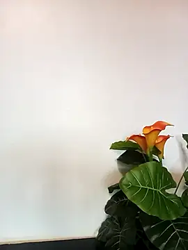 Snapshot of JemaimaPrincess chatting on 21, 3, 2025 JemaimaPrincess online show from 21, 3, 2025