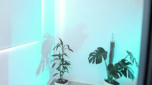 Snapshot of rossth1 chatting on 20, 3, 2026 rossth1 online show from 20, 3, 2026