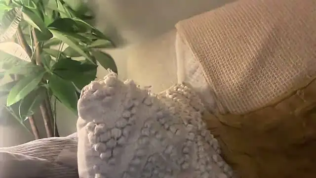 Snapshot of toptugger chatting on 17, 10, 2025 toptugger online show from 17, 10, 2025