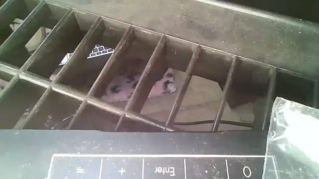 allissonw13 online show from 23, 10, 2025