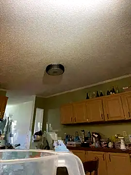 velvetta  online show from 17, 12, 2025