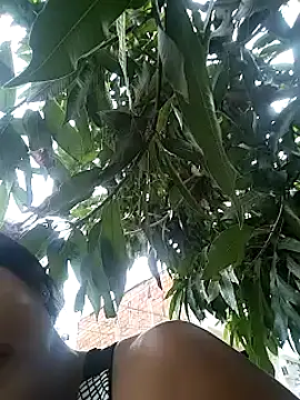 Berry Bans online show from 13, 3, 2025