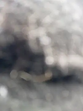  andrea30 online show from 30, 10, 2025