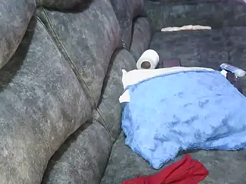 Snapshot of petitev chatting on 2, 3, 2026 petitev online show from 2, 3, 2026