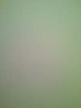 Snapshot of Lovensetest chatting on 13, 2, 2026 Lovensetest online show from 13, 2, 2026