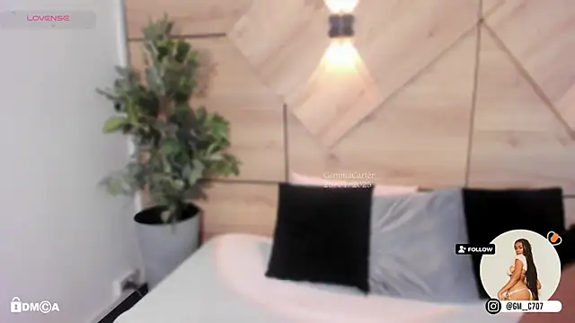 Snapshot of GemmaCarter_ chatting on 29, 1, 2025 GemmaCarter online show from 29, 1, 2025