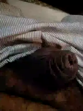 Snapshot of Kinkyluvi chatting on 6, 1, 2025 Kinkyluvi online show from 6, 1, 2025