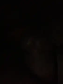 ThickD619 online show from 11, 12, 2024