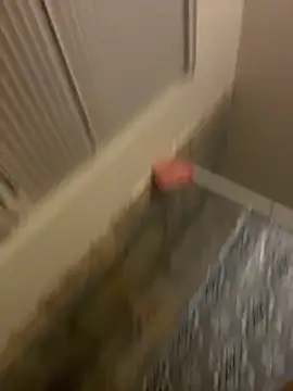 Snapshot of prettlovely14 chatting on 20, 2, 2026 prettlovely14 online show from 20, 2, 2026