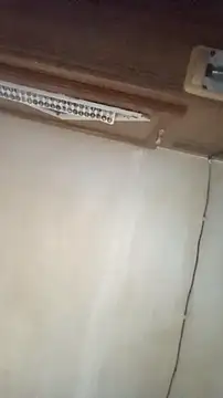 Dllarge online show from 15, 10, 2025