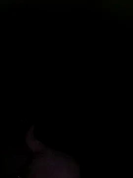 Off the Lesh online show from 25, 11, 2025