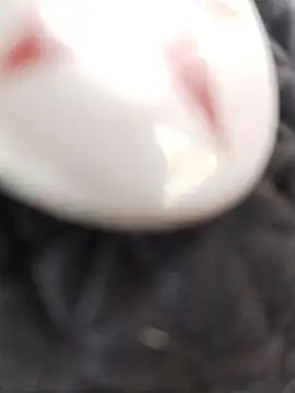 Snapshot of taaylor33 chatting on 27, 2, 2026 taaylor33 online show from 27, 2, 2026