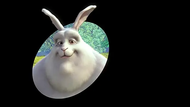 streamy test12 online show from 14, 10, 2025