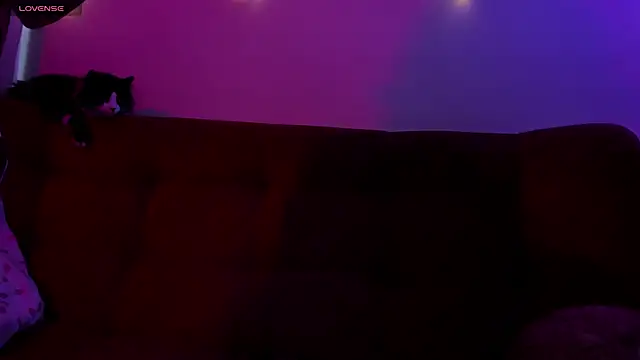 ohpetitemuse online show from 19, 11, 2025