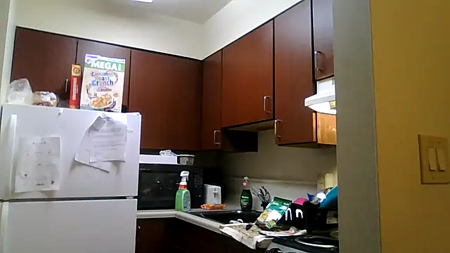 DreamvilleINC online show from 2, 11, 2025