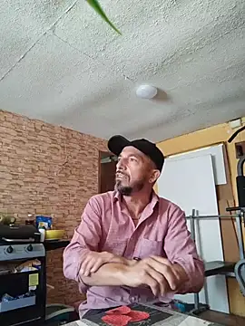 Tristan40xh online show from 6, 4, 2026