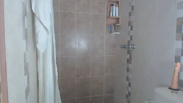 Snapshot of brigitht chatting on 11, 3, 2025 brigitht online show from 11, 3, 2025