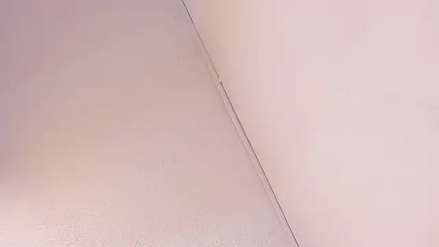 Black Rose2 online show from 1, 3, 2026