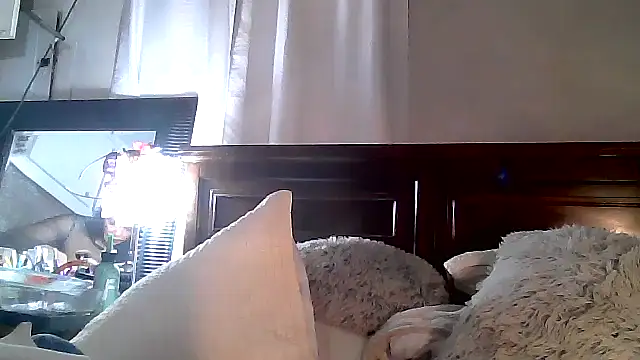 Snapshot of paiday chatting on 4, 12, 2024 paiday online show from 4, 12, 2024