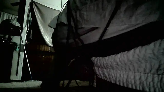 Snapshot of paiday chatting on 25, 12, 2024 paiday online show from 25, 12, 2024