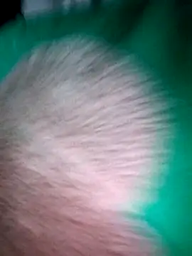 Snapshot of Haralushiaaa chatting on 4, 12, 2025 Haralushiaaa online show from 4, 12, 2025