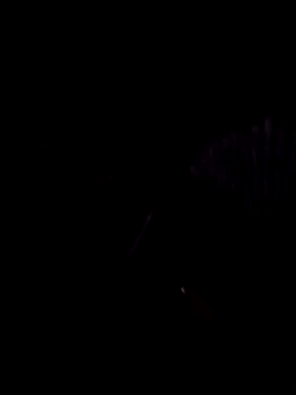 Snapshot of StaciGoodman chatting on 1, 2, 2025 StaciGoodman online show from 1, 2, 2025