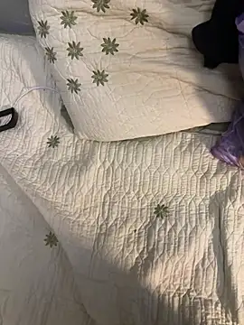 Snapshot of Ariel_Ari chatting on 17, 1, 2025 Ariel Ari online show from 17, 1, 2025