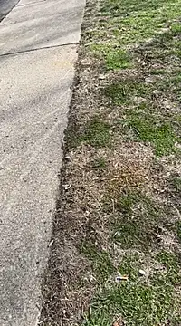 Esauhot online show from 25, 2, 2025