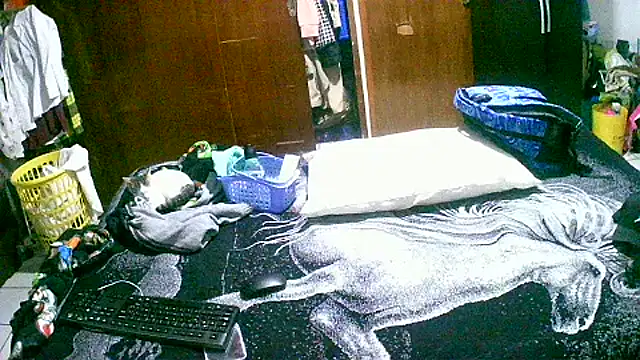 jperezofficial1 online show from 13, 9, 2025