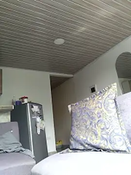 notid online show from 4, 3, 2026