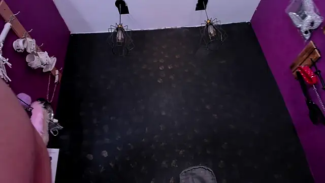 Snapshot of Alexa_Slave chatting on 11, 10, 2025 Alexa Slave online show from 11, 10, 2025