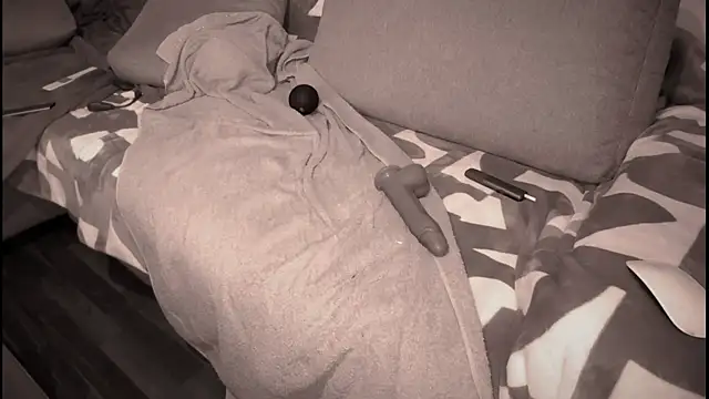 Snapshot of swissMen_DE chatting on 2, 3, 2025 swissMen DE online show from 2, 3, 2025